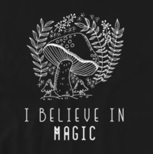 I believe in magic mushrooms. Category 5 apparel psilocybin for mental health.