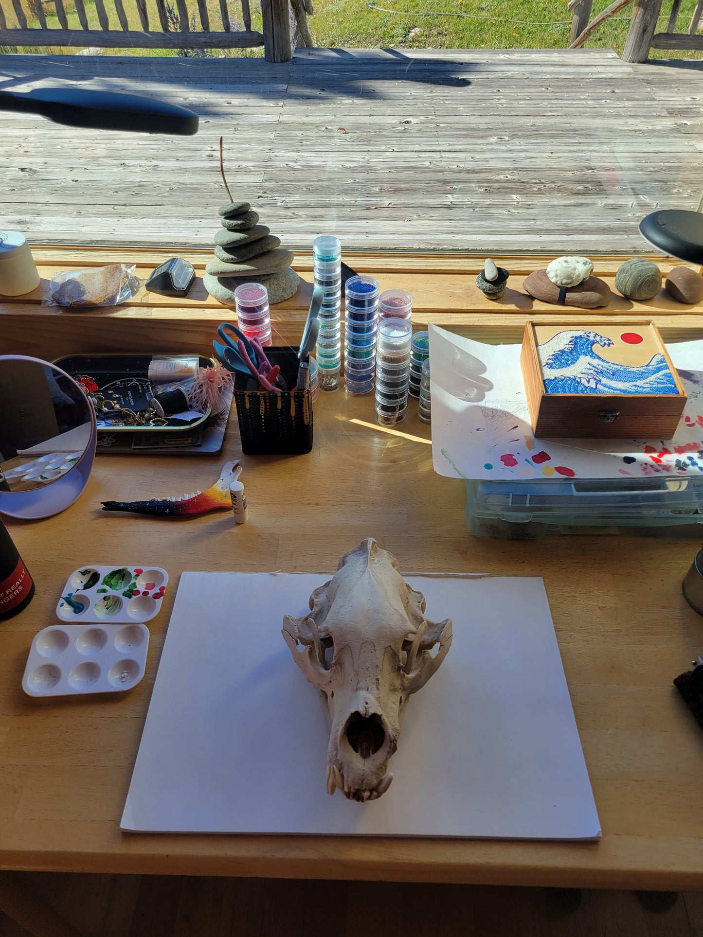 Blueberry Cosmos Painted Bear Skull