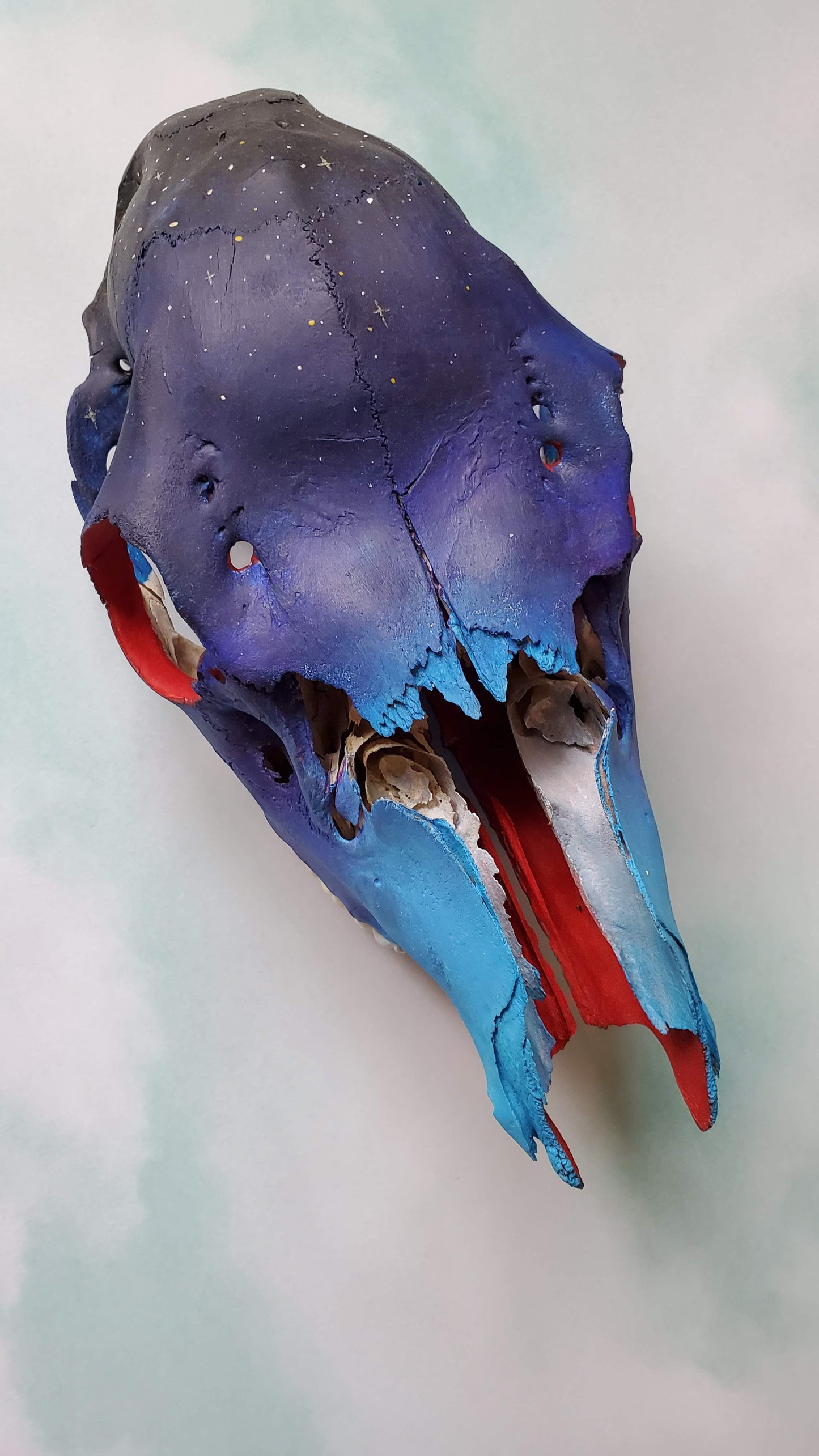 Montana Twilight Painted Skull