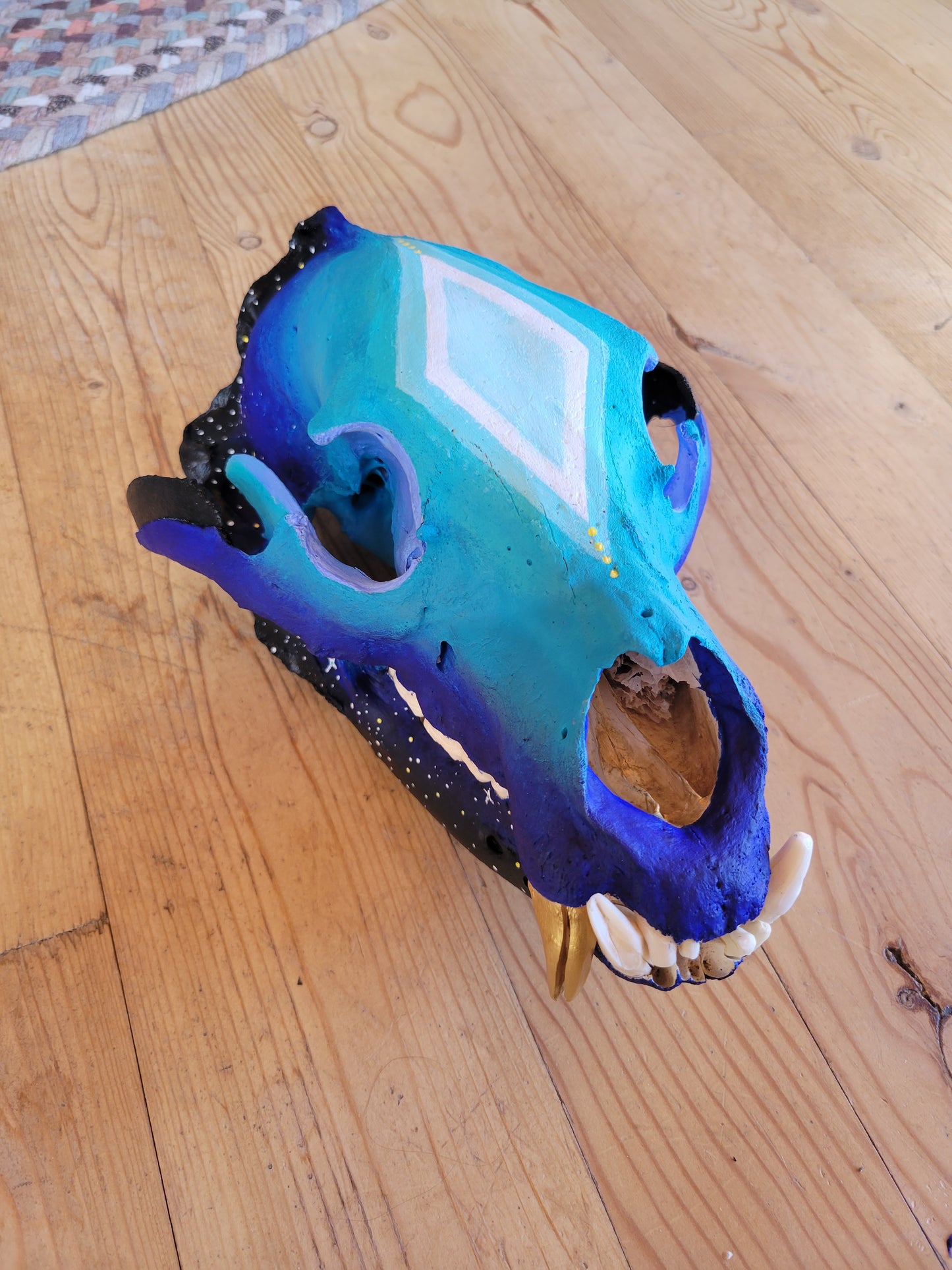 Blueberry Cosmos Painted Bear Skull