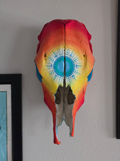 Turquoise Sunset Painted Skull