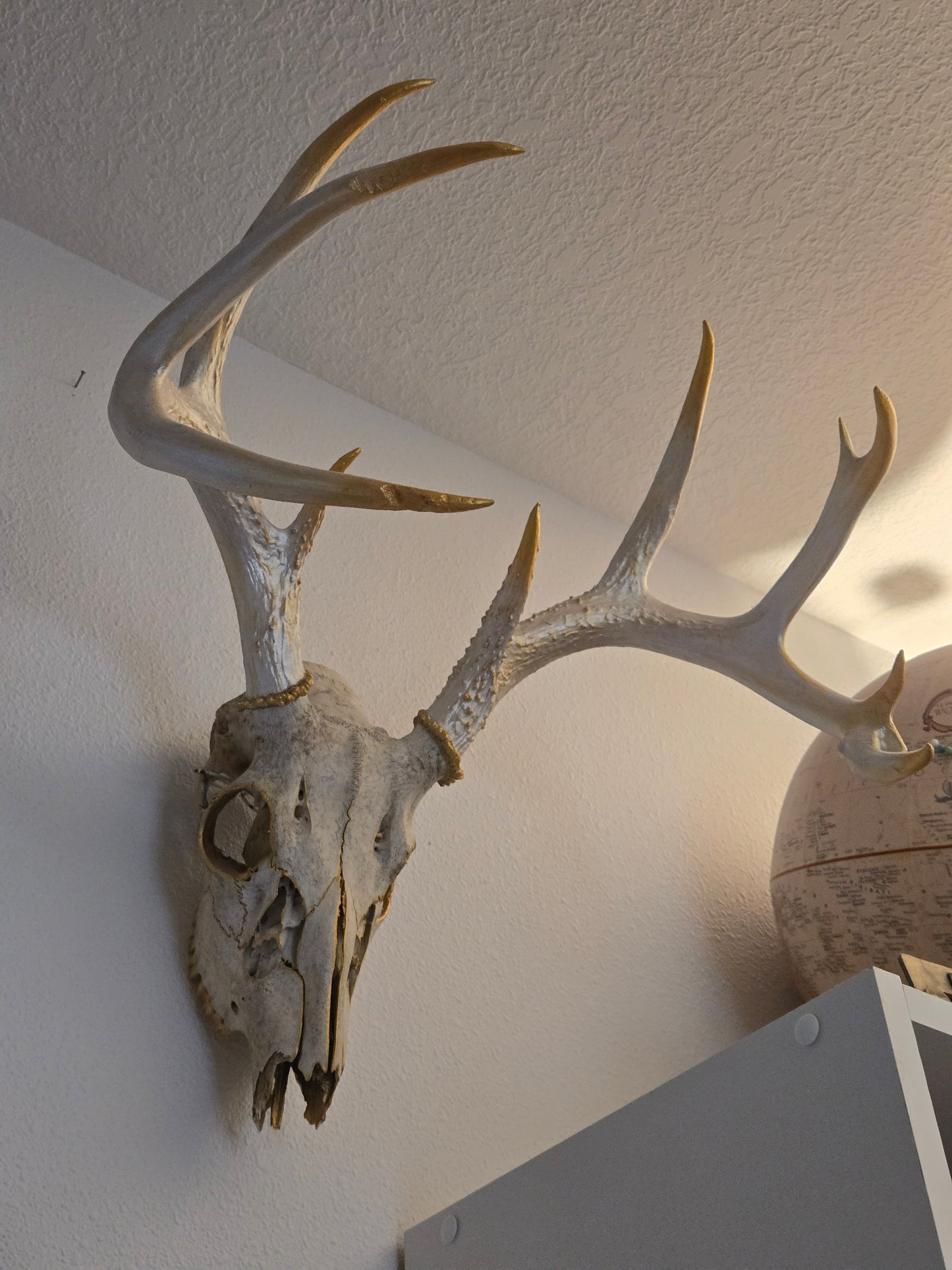 Touch of Gold Painted Skull