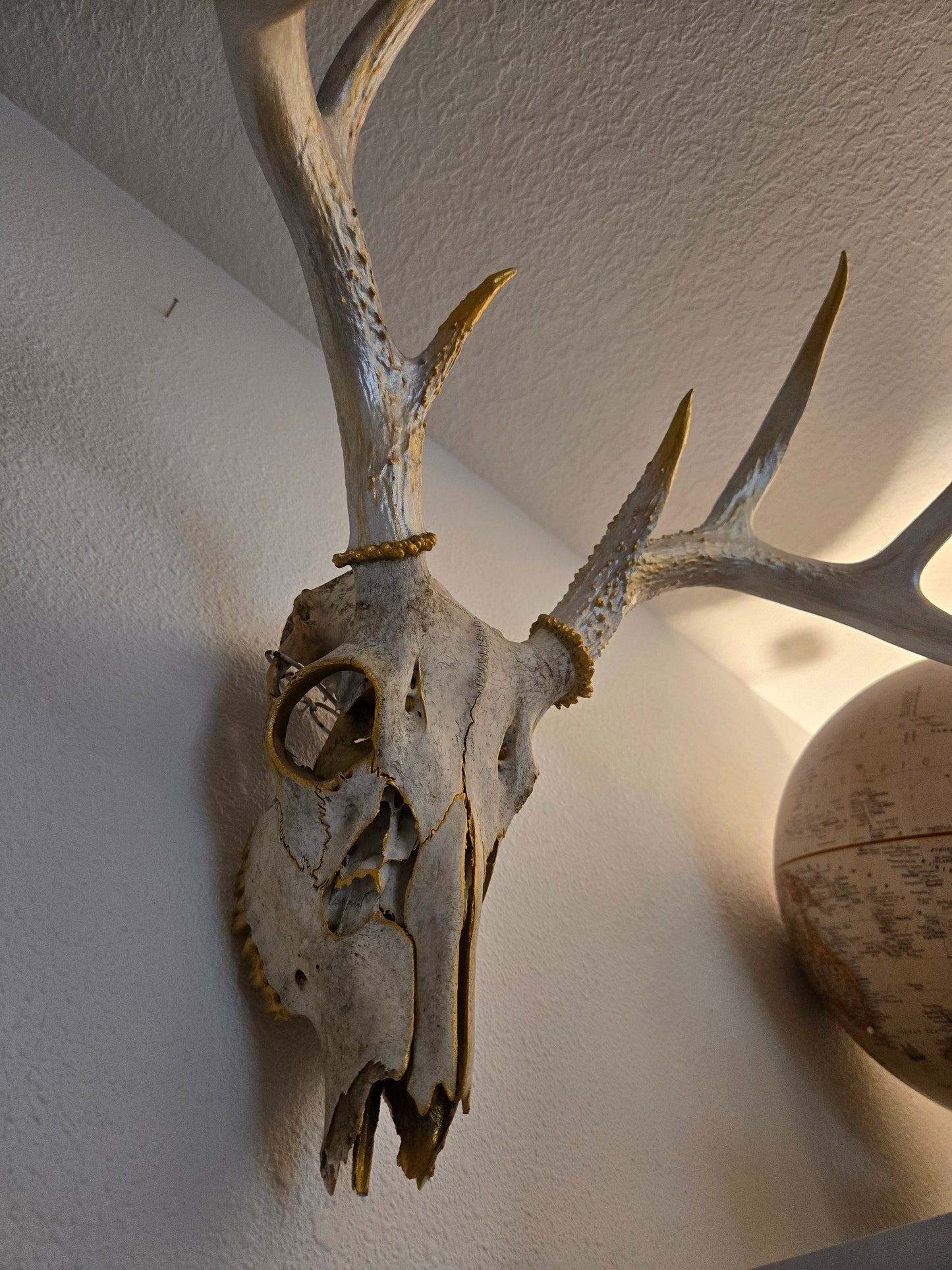 Touch of Gold Painted Skull
