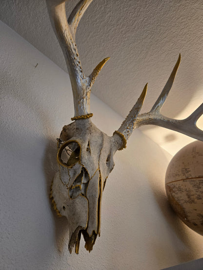 Touch of Gold Painted Skull