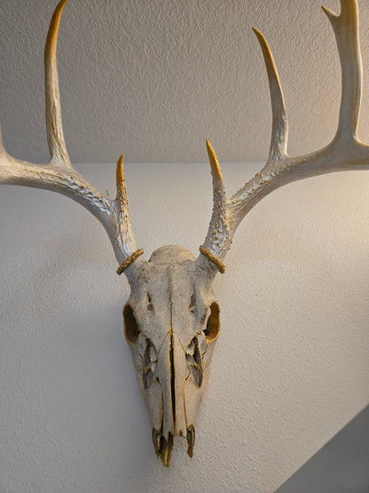 Touch of Gold Painted Skull