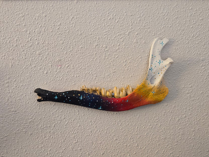 Starry Bite Painted Jawbone