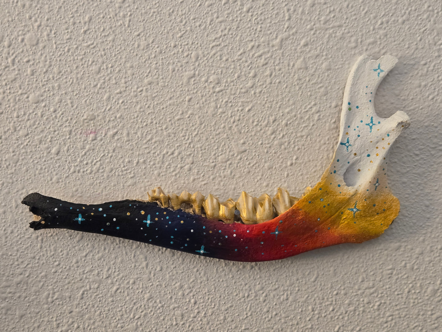 Starry Bite Painted Jawbone