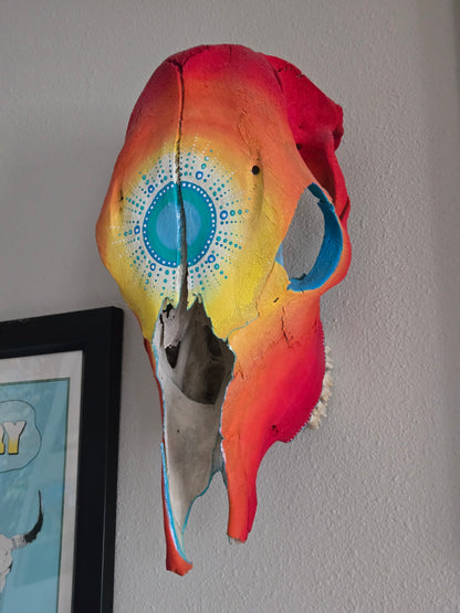 Turquoise Sunset Painted Skull