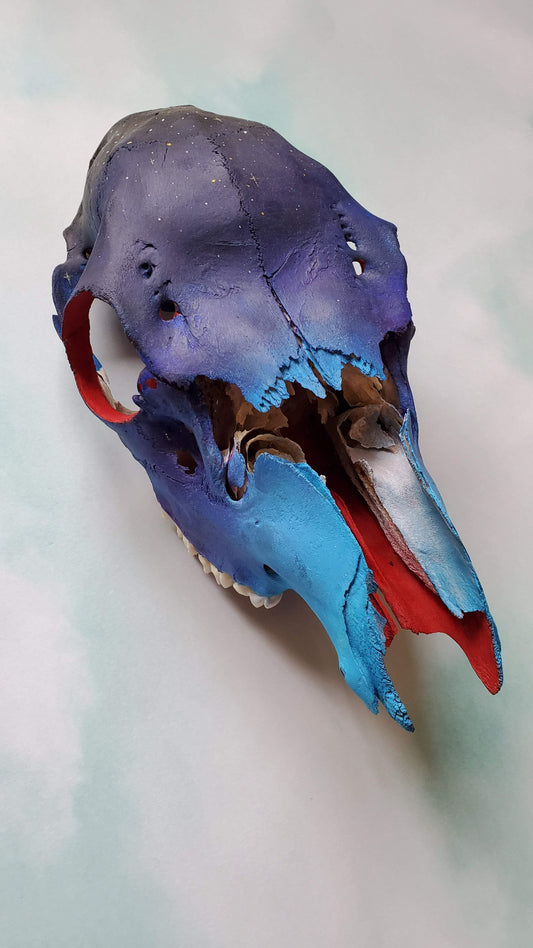 Montana Twilight Painted Skull